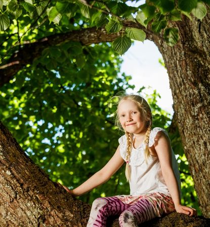Lausteen hankkeet, nuori tyttö istuu puun oksalla ja hymyilee.